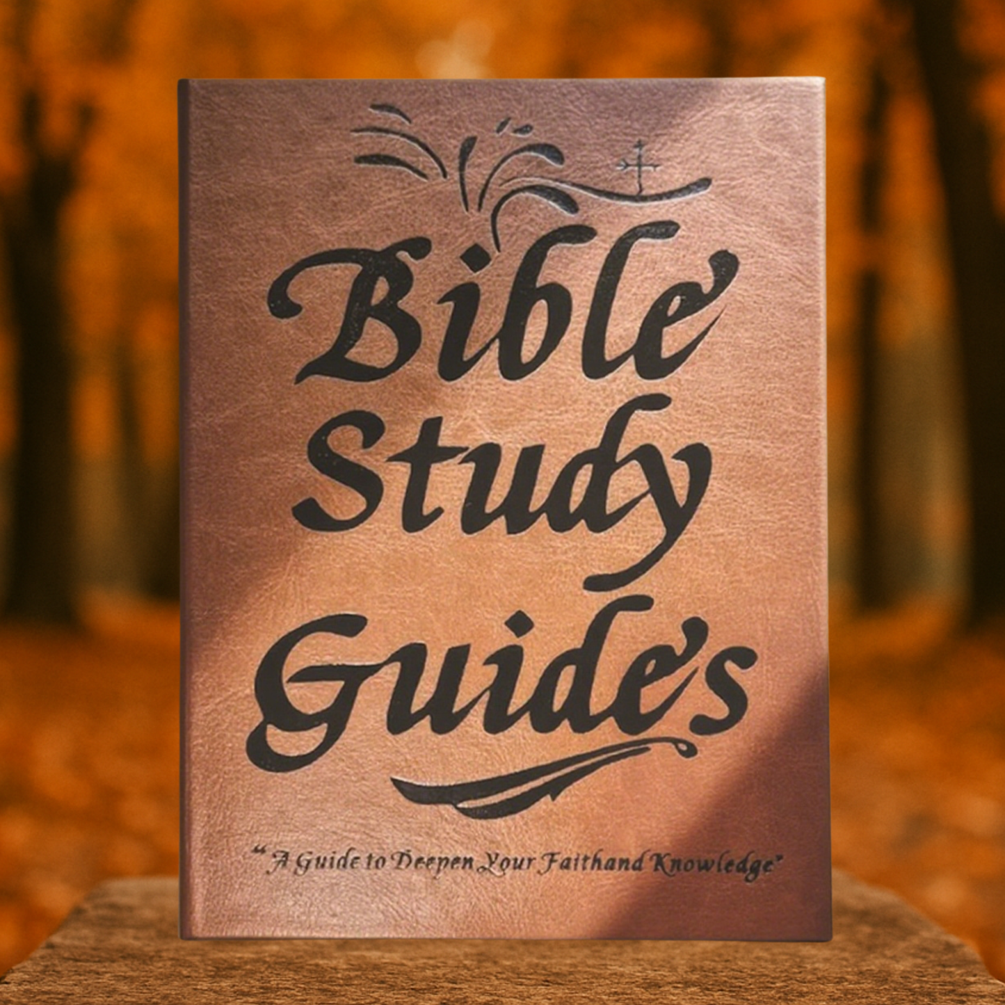 Bible Study Guide
